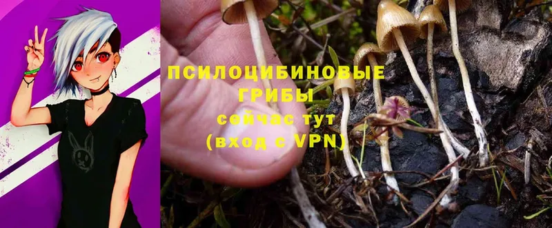 hydra ONION  Бокситогорск  Псилоцибиновые грибы MAGIC MUSHROOMS 