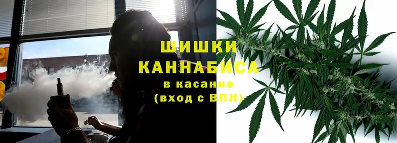 Бошки Шишки Bruce Banner  Бокситогорск 